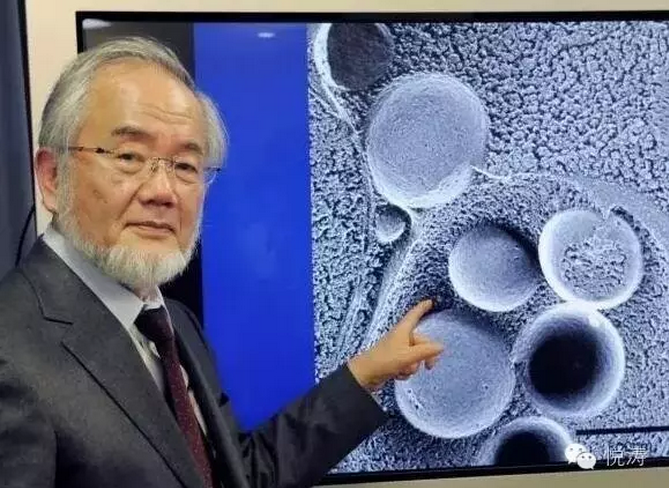 我们疯狂地抢房子，他们在疯狂布局未来！机器人赫然在列！